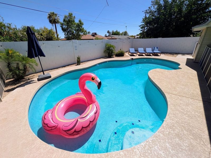 Private pool with a pink flamingo float and lounge chairs at Old Town Poolside Retreat
